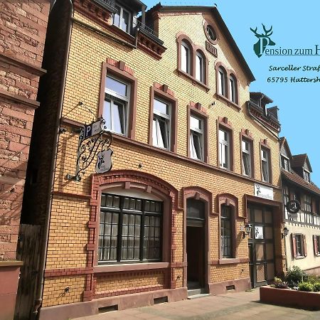 Hotel-Pension Zum Hirsch Hattersheim am Main Kültér fotó
